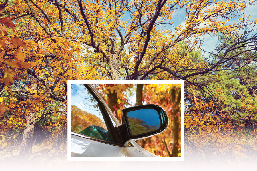 WEPCO Federal Credit Union