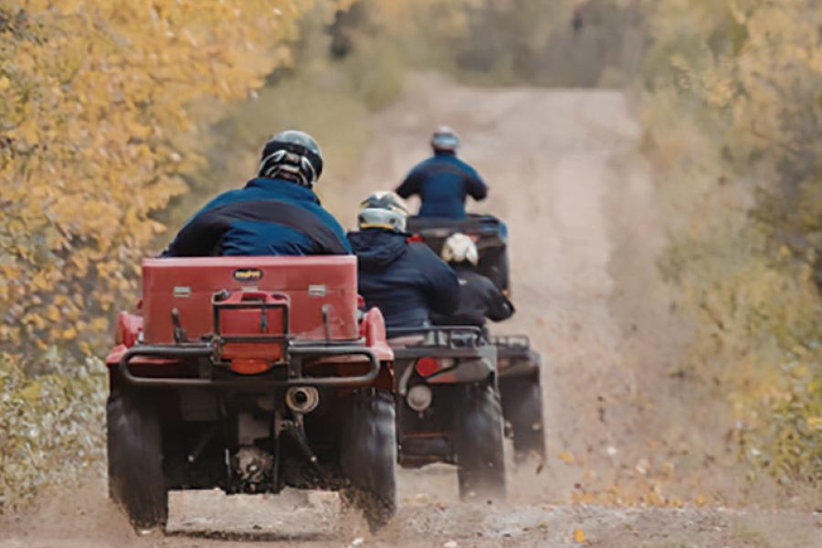Leaves are Falling, Trails are Calling!